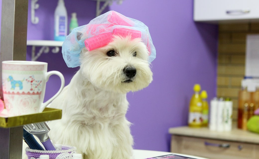 Услуги нечеловеческой красоты